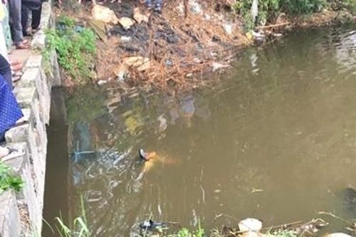 Phát hiện thi thể nam thanh niên dưới cống Lai Nghi
