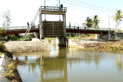 Mặn đến sớm và diễn biến phức tạp