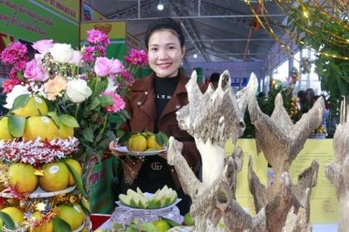 Nhộn nhịp Lễ hội Cam và các sản phẩm nông nghiệp Hà Tĩnh lần thứ 3