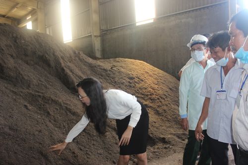 Phê duyệt điều chỉnh tổng thể quy hoạch khu xử lý chất thải xã Quang Trung