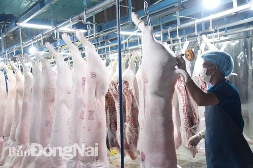 Đối phó bằng ứng dụng công nghệ cao