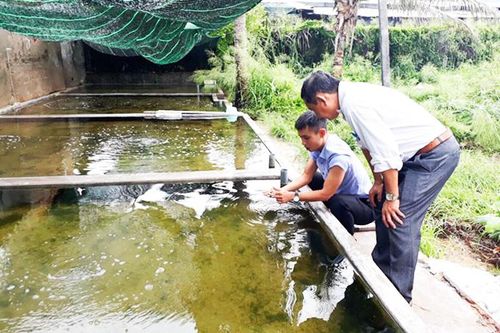Chủ động được con giống sá sùng