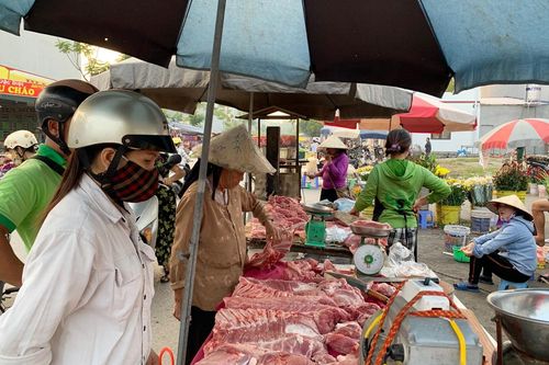 Giá lợn hơi vẫn còn cao