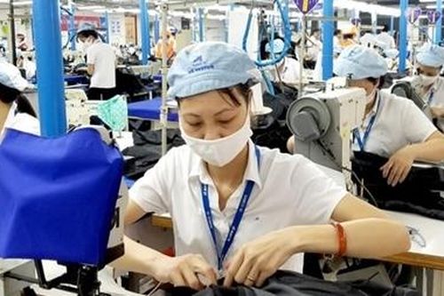 Phấp phỏng chờ thưởng Tết