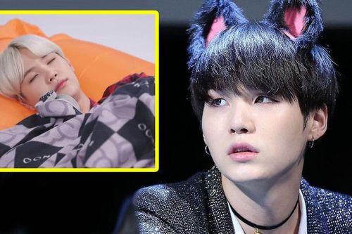 15 lý do chứng minh Suga BTS đích thị là một chú mèo thực thụ!