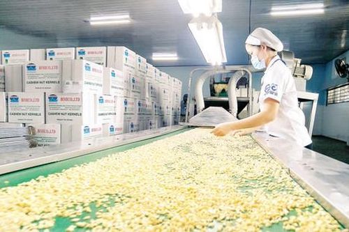 Ngành điều hướng đến mục tiêu xuất khẩu 4 tỷ USD trong năm 2020