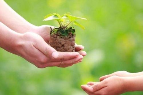 Phật dạy cho đi đừng mong cầu nhận lại