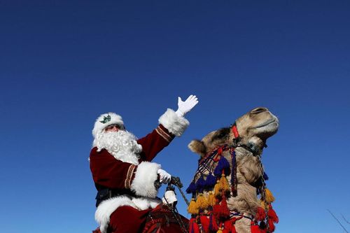 'Ông già Noel' cưỡi lạc đà tặng quà Giáng sinh