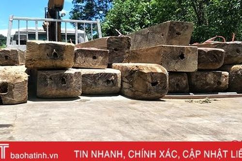 Hương Khê phát hiện, xử lý 78 vụ vi phạm lâm luật