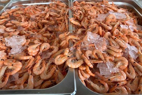 Australia: Món ăn dịp lễ Giáng Sinh tăng giá mạnh do khan hiếm