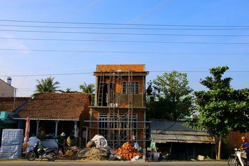 Bảo vệ hành lang an toàn lưới điện cao áp