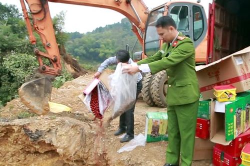 Tiêu hủy 2 lô hàng không rõ nguồn gốc xuất xứ