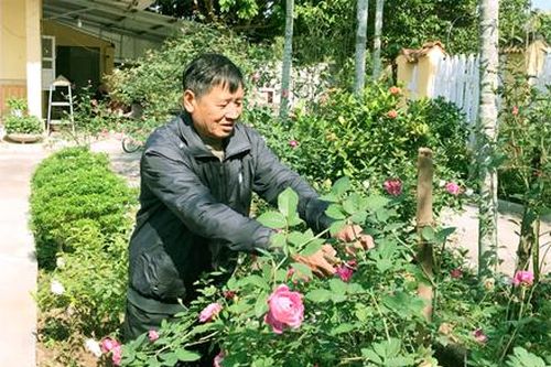 Yên Khánh: Nhân rộng phong trào xây dựng vườn mẫu