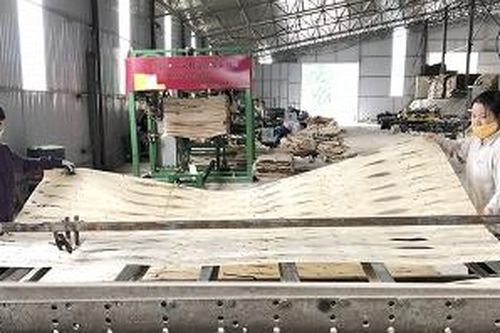 Thanh Sơn phát triển công nghiệp gắn với phát triển vùng nguyên liệu