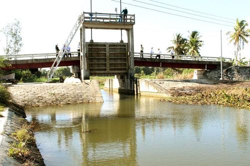 Các tỉnh Đồng bằng sông Cửu Long: Tập trung đối phó với xâm nhập mặn