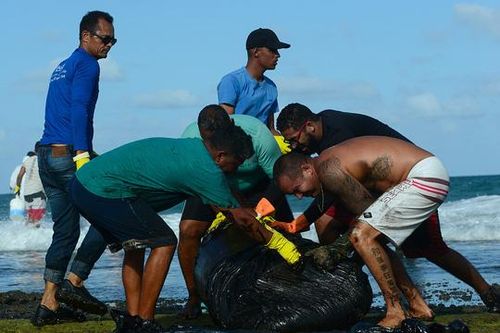 'Thủy triều đen' tấn công bờ biển Brazil