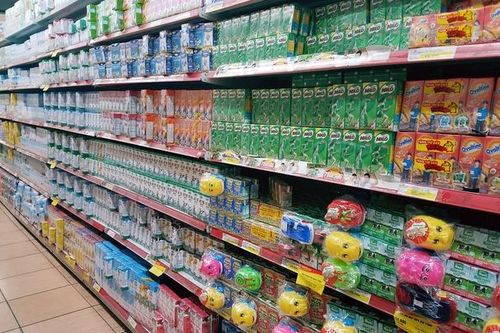 Cơ sở khoa học bổ sung đa vi chất vào sữa học đường?