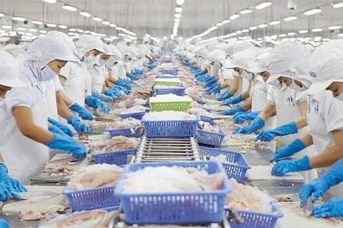 Xuất khẩu sang châu Âu giảm do doanh nghiệp 'găm hàng' đợi EVFTA?