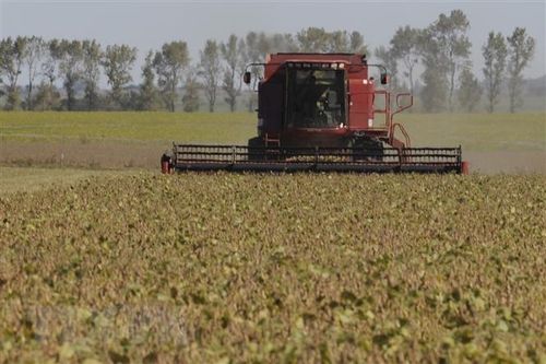 Luật tình trạng khẩn cấp kinh tế của Argentina chính thức có hiệu lực