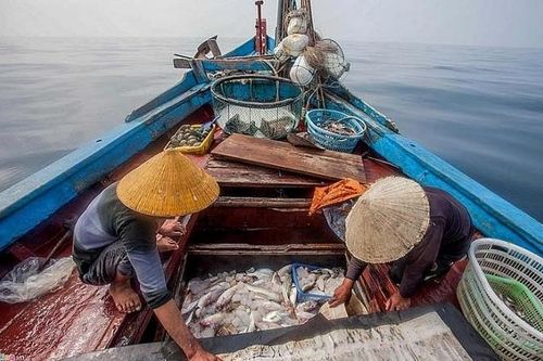 Khắc phục 'thẻ vàng' IUU: Mấu chốt là chống khai thác trái phép