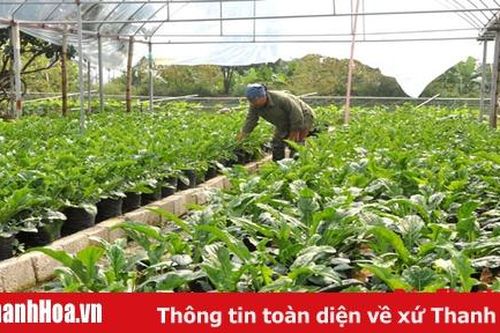 Những điểm sáng trong công tác giảm nghèo