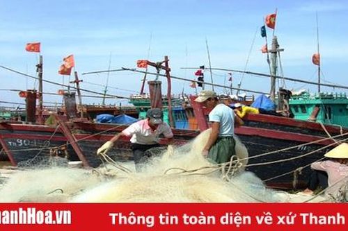 Không vứt bỏ dụng cụ khai thác thủy sản trực tiếp xuống biển