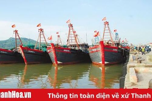 Gỡ khó cho ngư dân trong việc cải hoán, nâng cấp tàu cá