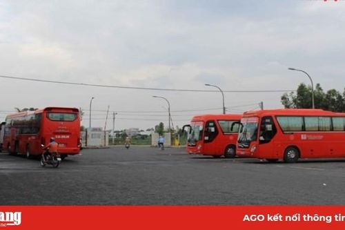 1.881 xe ôtô phục vụ khách dịp Tết Nguyên đán 2020