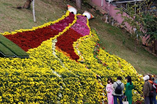 Đón hơn 220 ngàn lượt khách trong tuần diễn ra Festival Hoa