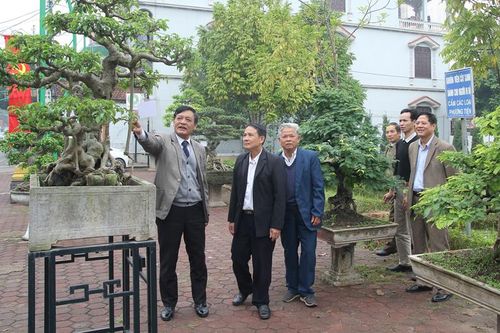 Hơn 300 tác phẩm tham gia triển lãm - thi sinh vật cảnh