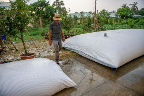 Vương quốc hoa kiểng miền Tây dùng túi khổng lồ trữ nước chống hạn mặn