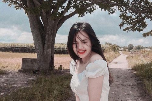 Cây cô đơn nổi tiếng trong phim 'Mắt Biếc'