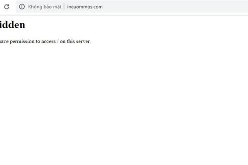 Website công ty quản lý Jack và K-ICM bị sập