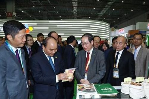 Hapro tập trung nguồn lực cho xuất khẩu và thương mại dịch vụ sau cổ phần hóa