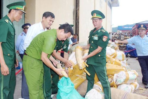 Bộ đội Biên phòng Đà Nẵng: Bảo vệ vững chắc chủ quyền, an ninh trật tự khu vực biên giới biển
