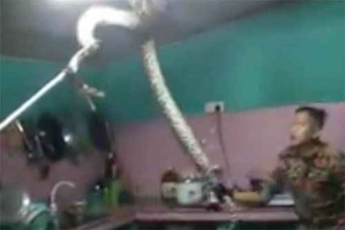 Kịch tính trăn gấm 'khủng' giằng co với người trên trần bếp