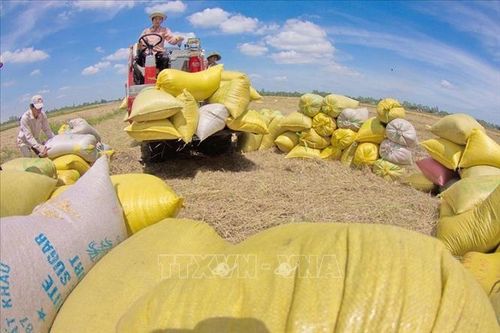 10 sự kiện nổi bật của Việt Nam năm 2019 do TTXVN bình chọn