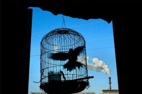 Giật mình khi xem bộ ảnh 'Bắt nét không khí, phơi màu ô nhiễm'