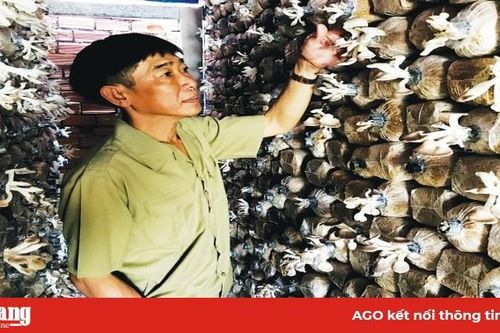 Cựu chiến binh làm kinh tế giỏi
