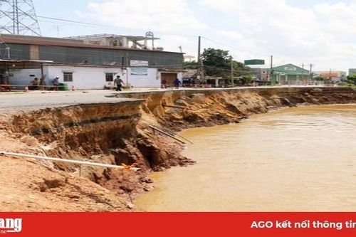 Trả lời cử tri về lĩnh vực tài nguyên và môi trường