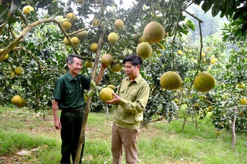 Thắng Quân trao 'cần câu' cho hộ nghèo