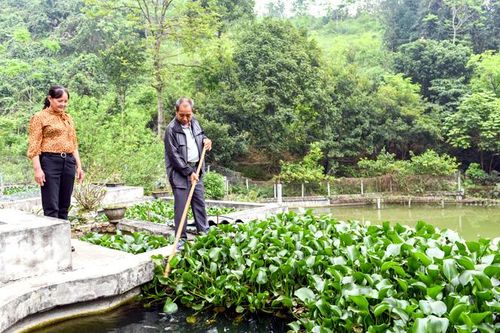 Cá sạch Tràng Đà