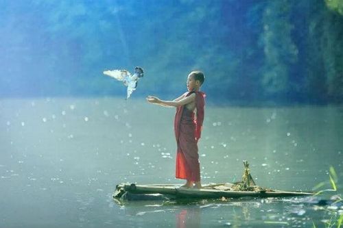 Đời sống từ bi