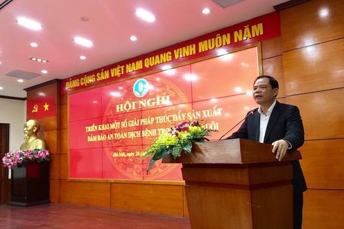 Giá lợn tăng cao kỷ lục, Bộ Nông nghiệp khuyên doanh nghiệp không nên 'tham bát bỏ mâm'