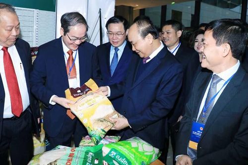 Hapro tập trung nguồn lực cho xuất khẩu và thương mại dịch vụ