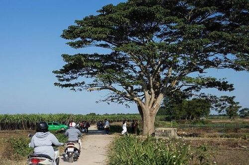 Du khách đổ xô đến Huế để check in địa điểm trong phim 'Mắt Biếc'