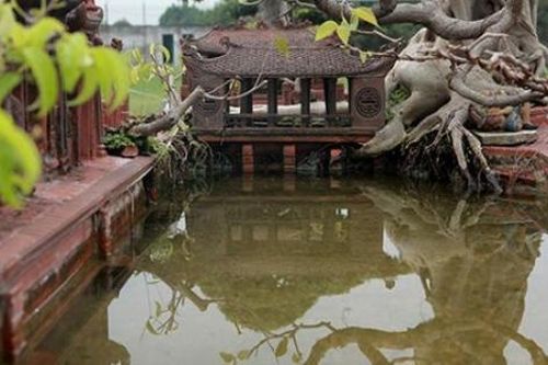 Mô hình mái đình cây đa giống thật đến ngỡ ngàng giá nửa tỷ đồng
