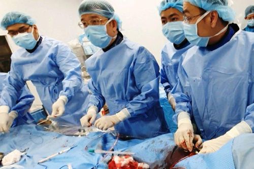 Phát hiện phình động mạch chủ bụng kịp thời giúp người đàn ông thoát án tử