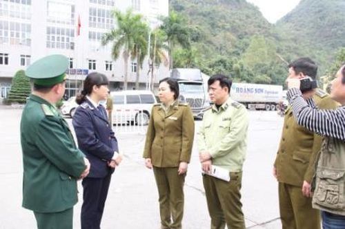 Kiểm soát chặt tình trạng xuất lậu thịt lợn qua biên giới