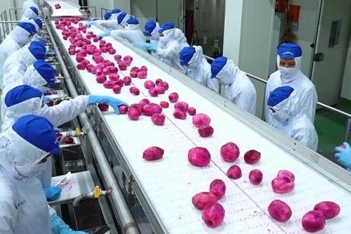 Đặt mục tiêu 5 tỷ USD trong 2020, ngành rau quả có kỳ vọng cao?